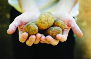 Tong potato hands